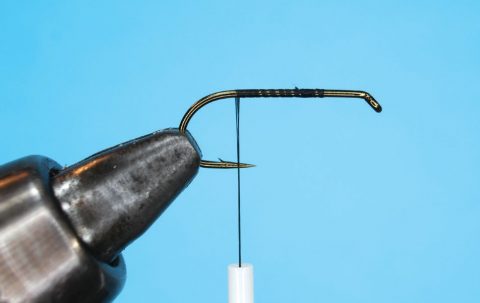 Jerry's Fly Tying Tips - Adams Irresistible Hook: Dry Fly Hook